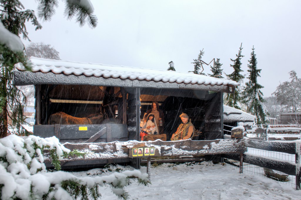 1-Snow (1)